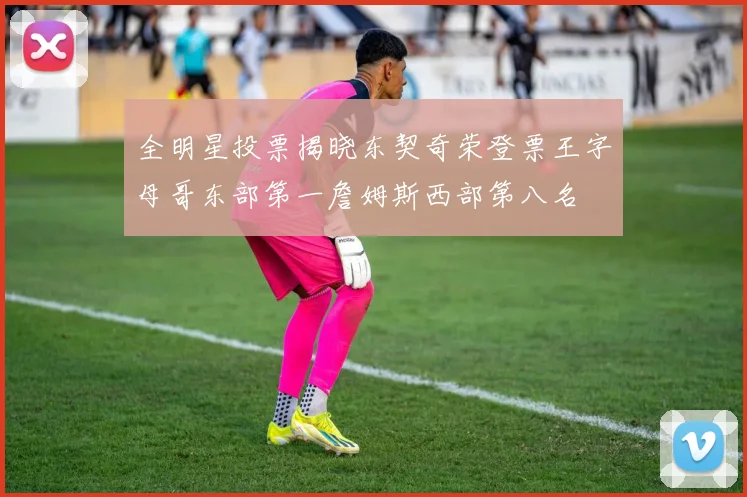 全明星投票揭晓东契奇荣登票王字母哥东部第一詹姆斯西部第八名