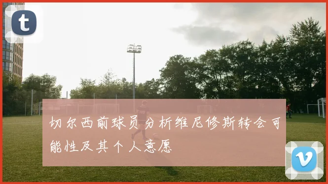 切尔西前球员分析维尼修斯转会可能性及其个人意愿