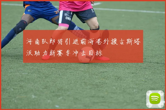 河南队即将引进前海港外援古斯塔沃助力新赛季冲击目标